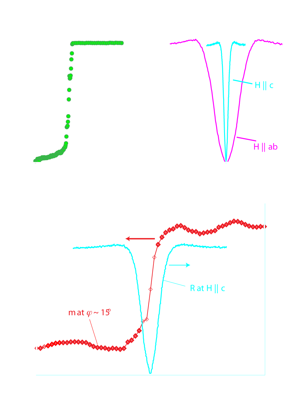 Filtered TDCS spectrum at 13.5 Tesla showing sashes.